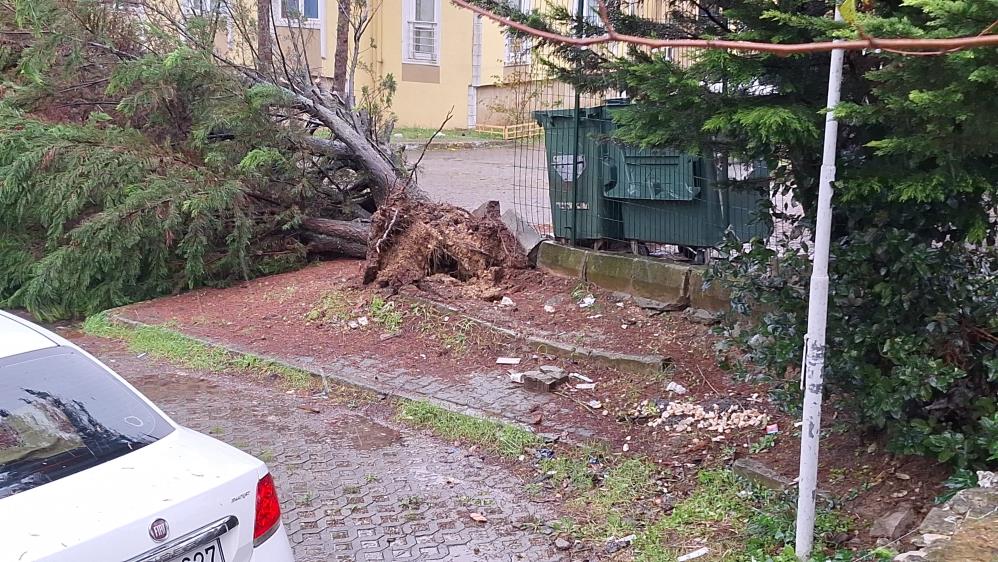 Kocaeli’de fırtınanın bilançosu: 25 su baskını, 26 ağaç devrilmesi ve 31 trafik kazası