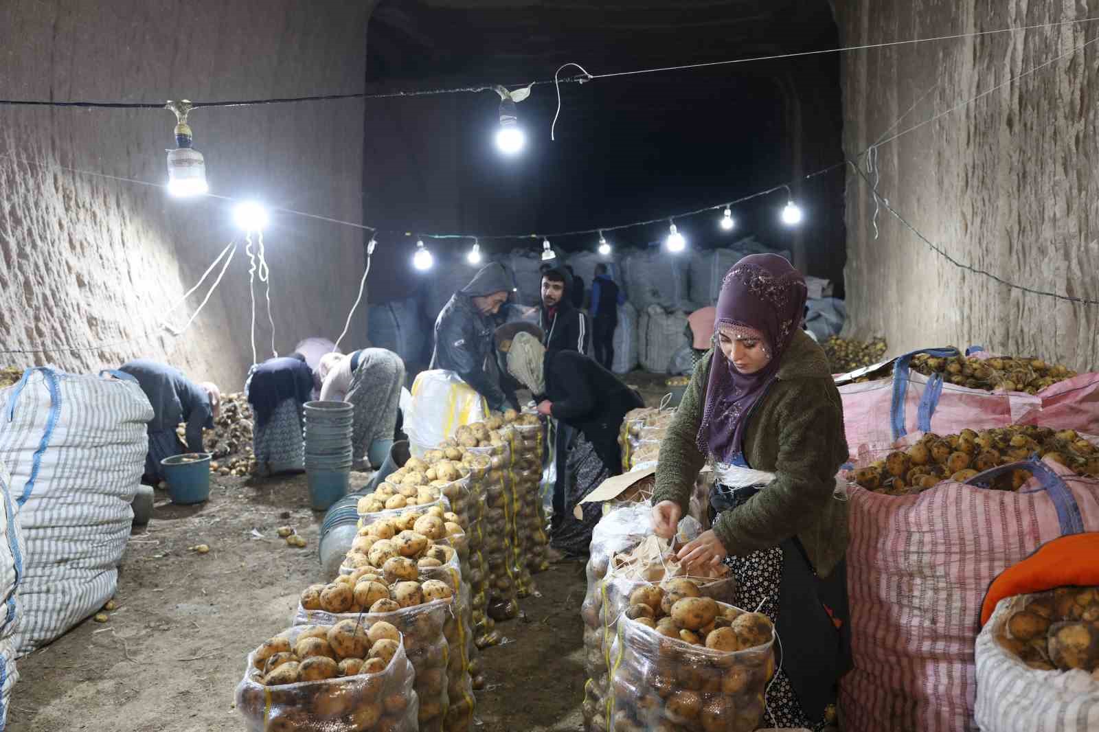 TÜRKİYE'NİN PATATES İHTİYACI KAPADOKYA'DAKİ DEPOLARDAN KARŞILANIYOR