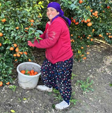 ADANA MANDALİNASI DÜNYA MUTFAĞINI SÜSLÜYOR ADANA’DA MANDALİNA HASADI DEVAM EDİYOR YÜREĞİR ZİRAAT ODASI BAŞKANI MEHMET AKIN DOĞAN: "FİYATLAR ÖNÜMÜZDEKİ GÜNLERDE BİRAZ DAHA YÜKSELEBİLİR"