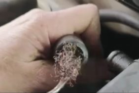 3980
