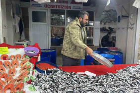 TAVŞANLI BALIK PAZARINDA EN ÇOK HAMSİ İLGİ GÖRÜYOR