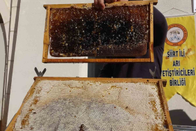 SİİRT'TE ARICILARA 41 MİLYON 436 BİN LİRALIK DESTEK