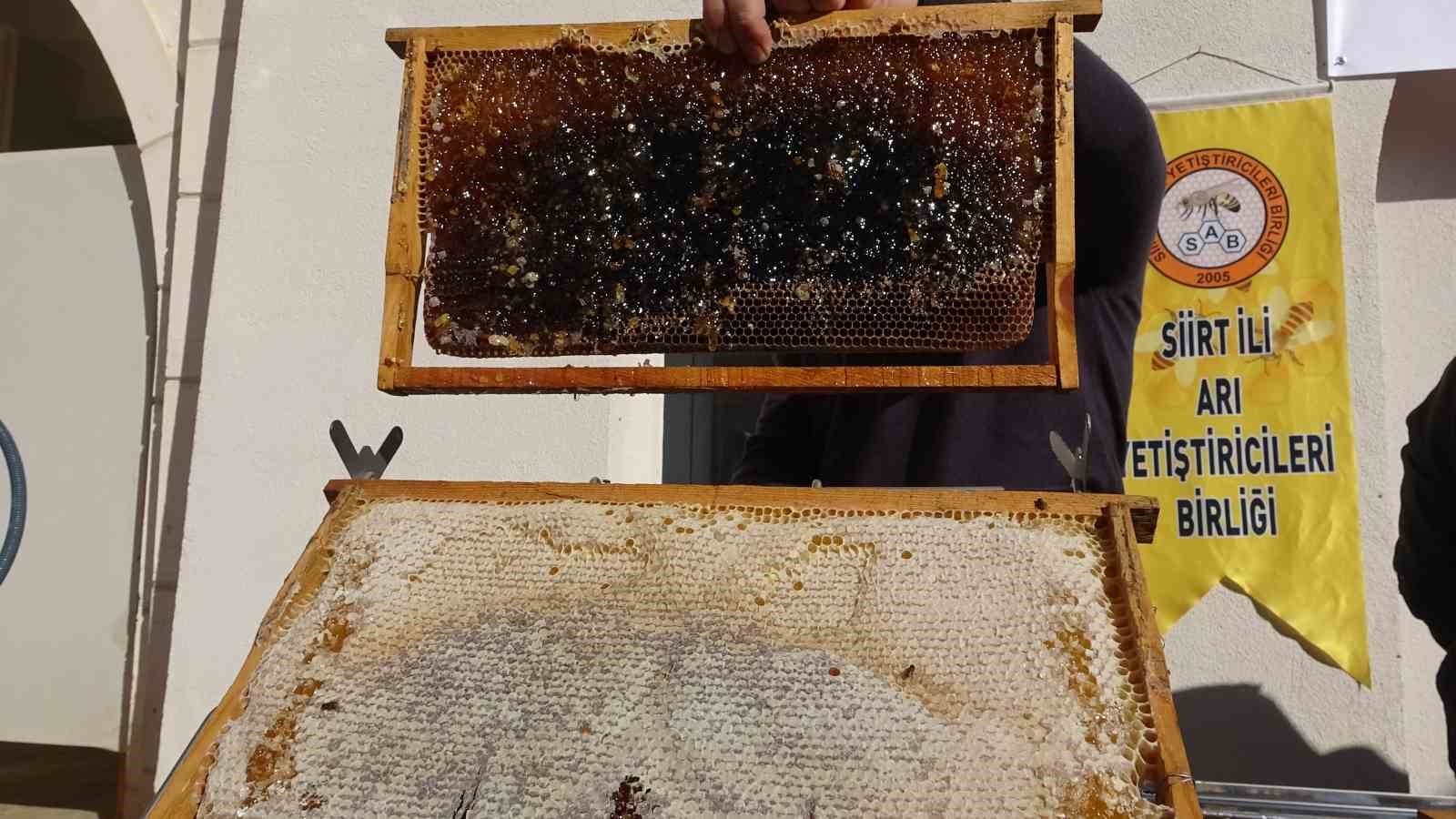 SİİRT'TE ARICILARA 41 MİLYON 436 BİN LİRALIK DESTEK