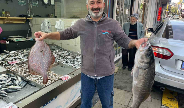 KİLOSU BİN LİRADAN TEZGAHA İNDİ, İLGİ ODAĞI OLDU AKÇAKOCA'DA 7,5 KİLO AĞIRLIĞINDA LEVREK YAKALANDI