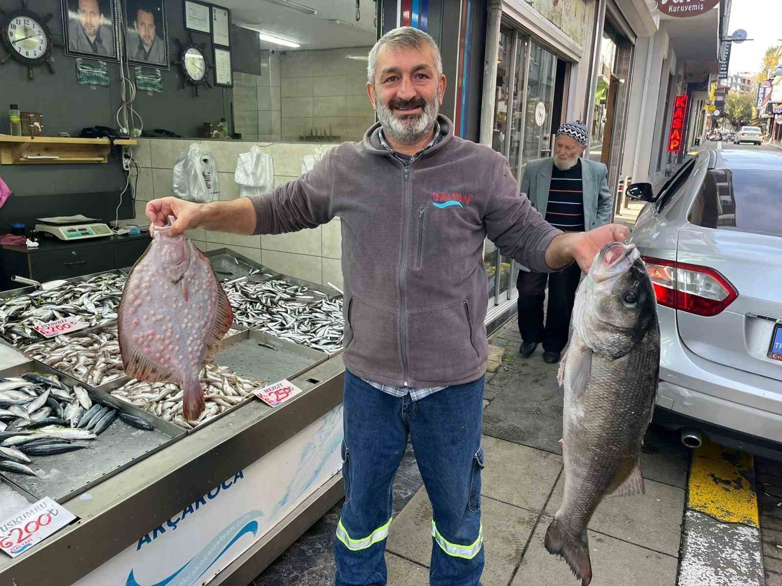 KİLOSU BİN LİRADAN TEZGAHA İNDİ, İLGİ ODAĞI OLDU AKÇAKOCA'DA 7,5 KİLO AĞIRLIĞINDA LEVREK YAKALANDI