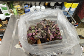 GEÇMEYEN ÖKSÜRÜĞE ‘BİTKİSEL' KARIŞIM