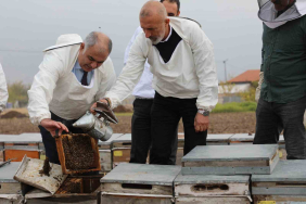ELAZIĞ ARI KOVANLARI İNCELENDİ