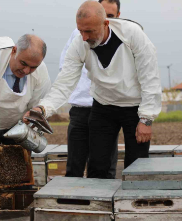 ELAZIĞ ARI KOVANLARI İNCELENDİ