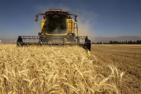 yeni-proje-2025-11-20t101358-uyoh_cover