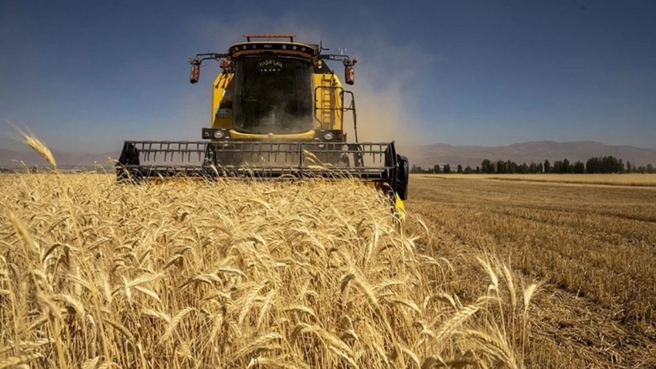 yeni-proje-2025-11-20t101358-uyoh_cover