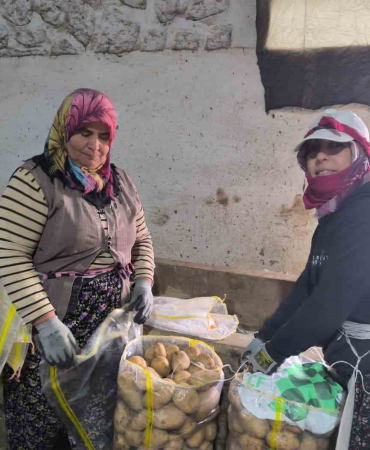 HASADI BİTEN PATATESTE DEPOLAMA SÜRECİ BAŞLADI PATATESİN SATIŞ FİYATI ÜRETİCİLERİN YÜZÜNÜ GÜLDÜRDÜ