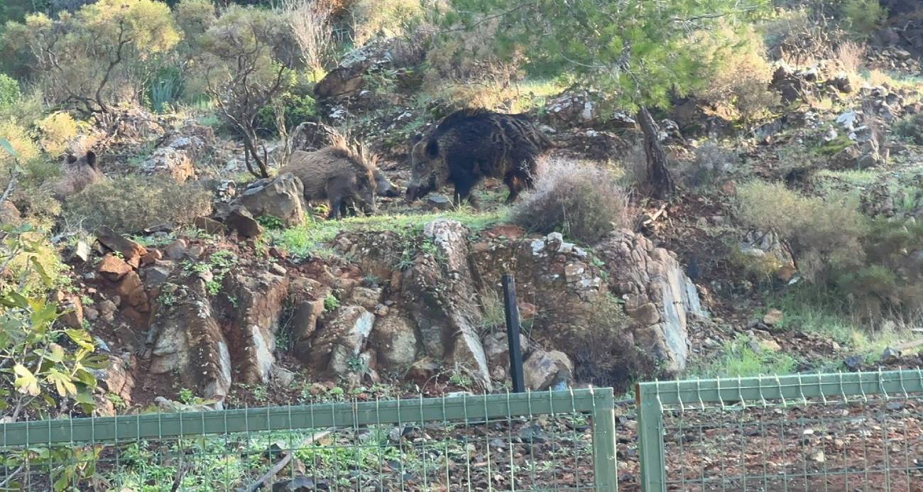 yeni-proje-11-1765017367