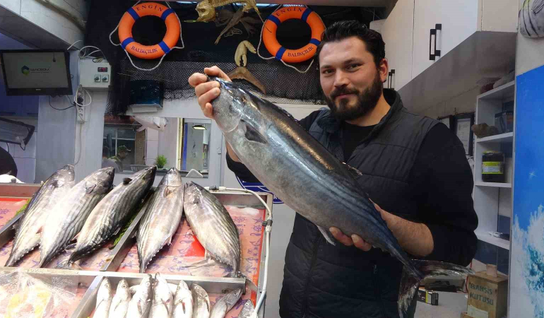 TORİK TEZGAHLARA GEÇ GELDİ AMA YÜZLERİ GÜLDÜRÜDÜ