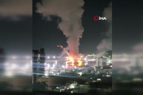 -abeb8c07-4471-4f6e-8536-1c5c117121bb-frame-at-0m1s-1767427033