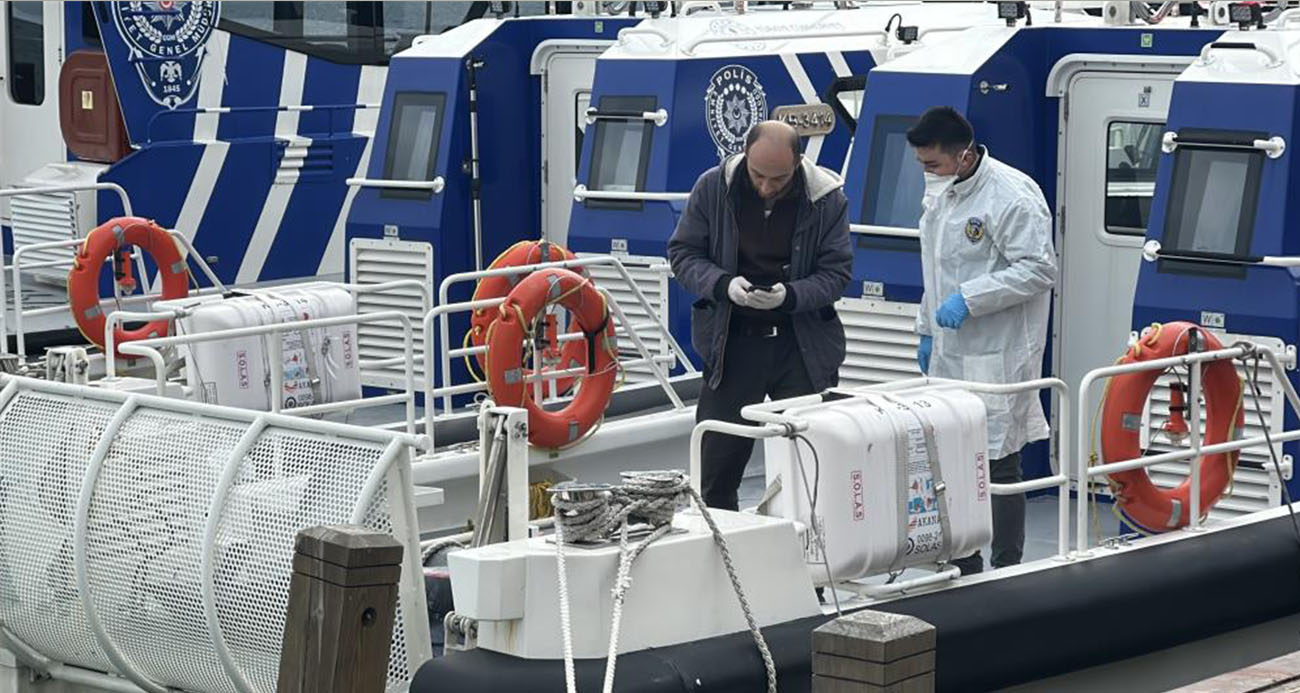 vcxvcxvvwe-1768908234