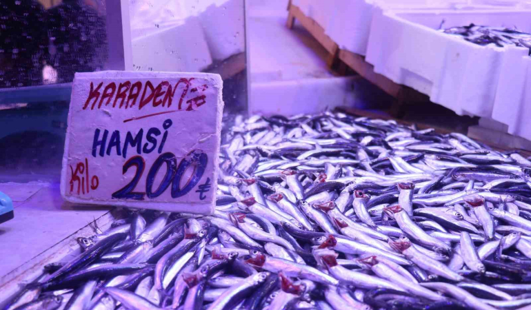 Hamsi tezgahlardaki tahtına yeniden oturdu