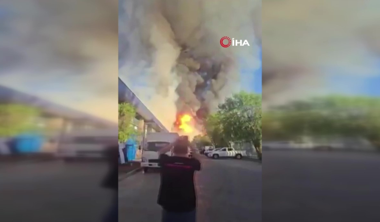 -fc78a2c0-8f8a-49d0-bc4b-8cd591b647a8-frame-at-0m42s-1771513709