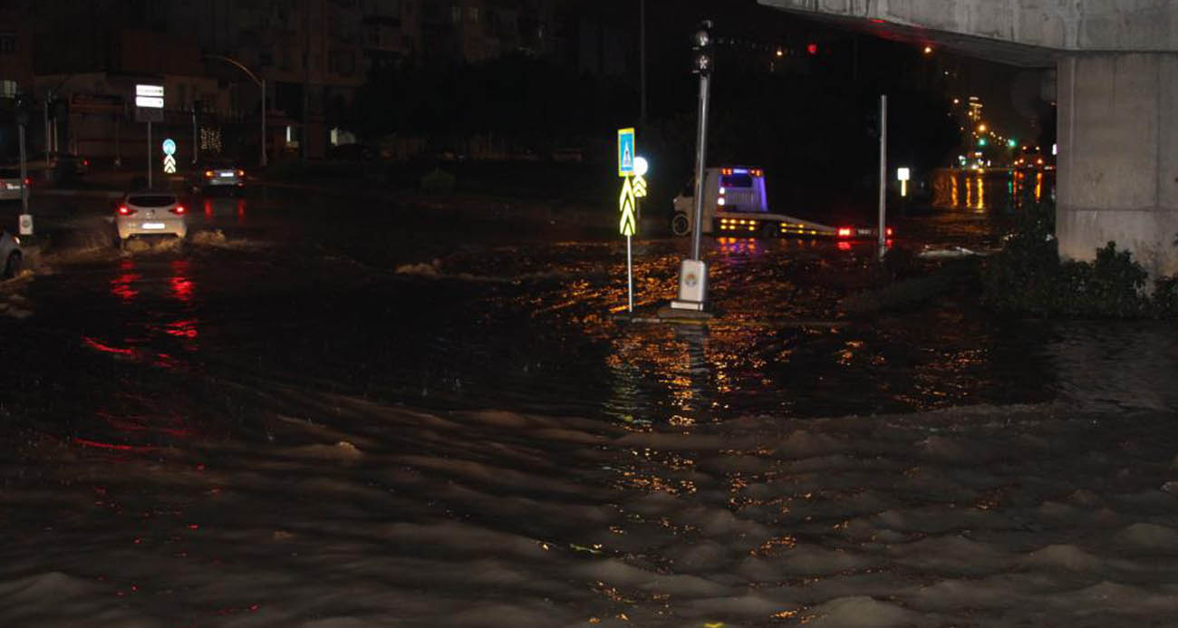 rewrewretret-1770958541