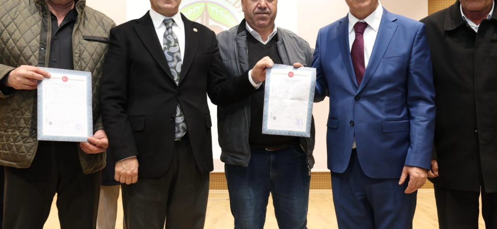 DİLOVASI'NDA İMAR SORUNU ÇÖZÜLEN 423 VATANDAŞA TAPULARI DAĞITILDI