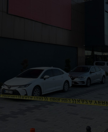 rewrewrwgvfg-1774591303