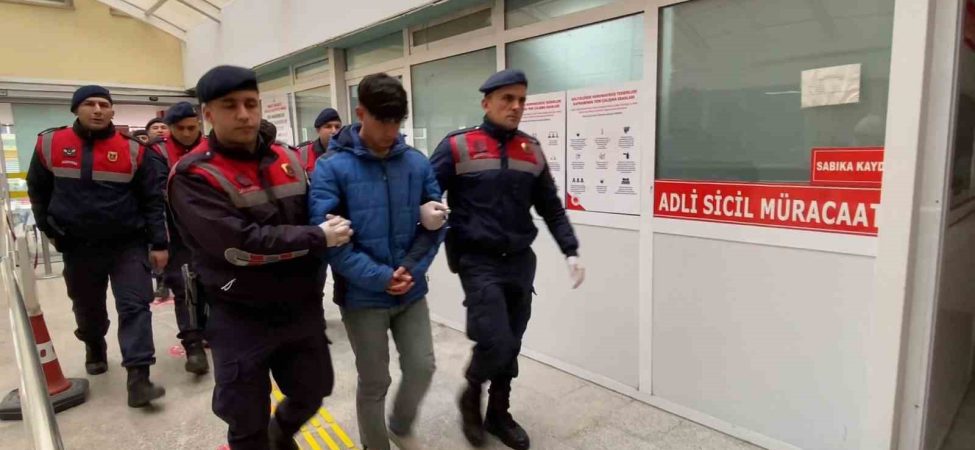 KULÜBEDEKİ BALTALI VE KAZMALI CİNAYETTE İKİ KUZENE TOPLAM 30 YIL HAPİS CEZASI