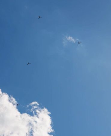 K2 KAMİKAZE İHA, YAPAY ZEKA OTONOM SÜRÜ UÇUŞ VE HAVA DEVRİYE TESTİNİ BAŞARIYLA TAMAMLADI