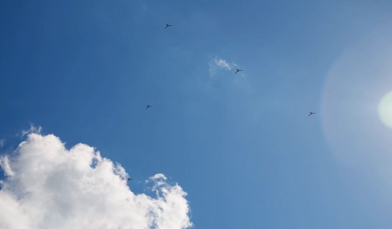 K2 KAMİKAZE İHA, YAPAY ZEKA OTONOM SÜRÜ UÇUŞ VE HAVA DEVRİYE TESTİNİ BAŞARIYLA TAMAMLADI