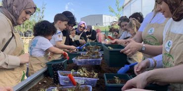 KENDİ ÇİLEKLERİNİ EKTİLER