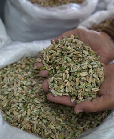 İRAN-ABD VE İSRAİL SAVAŞI ANTEP FISTIĞI SATIŞINI DURDURDU