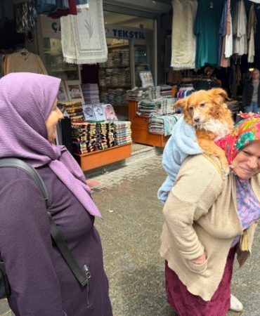 TRABZON SOKAKLARININ EN SIRA DIŞI GEZİNTİSİ BATTANİYEYE SARIP SIRTINA ALDIĞI 'KUKULİ' İSİMLİ KÖPEĞİ İLE İZİN GÜNLERİNDE TRABZON'U SOKAK SOKAK GEZİYOR TRABZONLU PAKİZE HATİPOĞLU, SOKAKLARDA SIRTINDA TAŞIDIĞI 'KUKULİ' İSİMLİ KÖPEĞİ İLE DOLAŞARAK YÜREKLERİ ISITIYOR