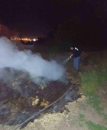 BOLU'DA KORKUTAN ANIZ YANGINI: ORMANA SIÇRAMADAN SÖNDÜRÜLDÜ