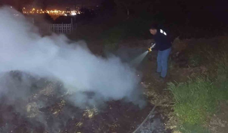 BOLU'DA KORKUTAN ANIZ YANGINI: ORMANA SIÇRAMADAN SÖNDÜRÜLDÜ