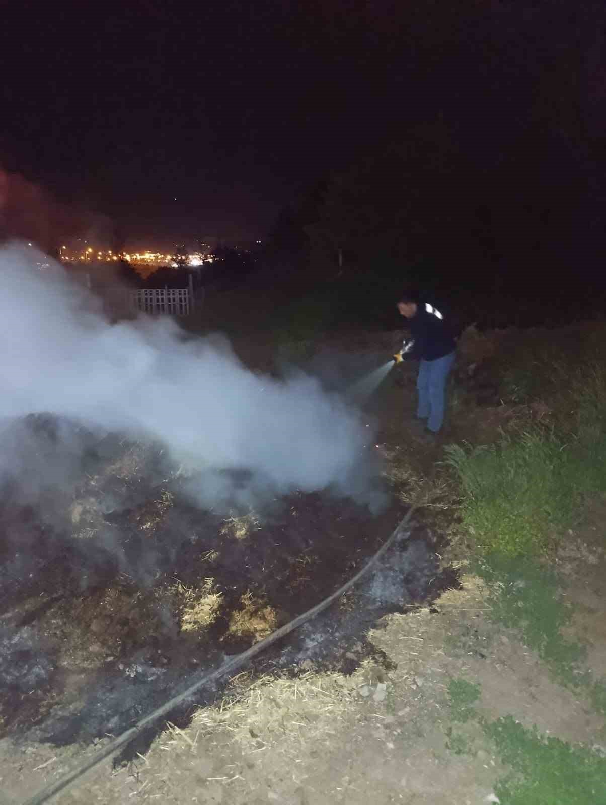 BOLU'DA KORKUTAN ANIZ YANGINI: ORMANA SIÇRAMADAN SÖNDÜRÜLDÜ
