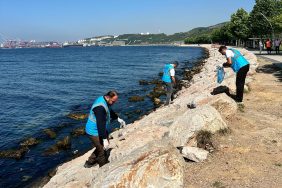 DİLOVASI'NDA MARMARA DENİZİ İÇİN SAHİL TEMİZLİĞİ YAPILDI