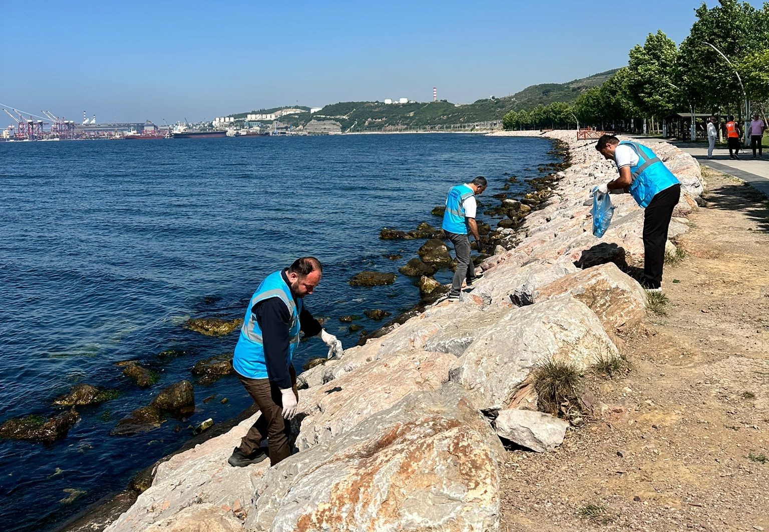 DİLOVASI'NDA MARMARA DENİZİ İÇİN SAHİL TEMİZLİĞİ YAPILDI